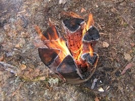 Какие же они чудики: фото животных, заряжающие позитивом