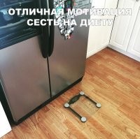 Да не. Их перешагнуть можно. Надо, чтобы к холодильнику нельзя было подойти, не ступив на весы. А циферблат чтобы был внутри холодильника, перед глазами. А то так и будут наступать и не смотреть вниз, как на подвесную дорогу в горах.