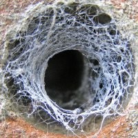 Не ищите здесь смысл. Здесь в основном маразм