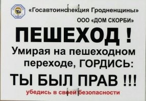 В Архангельске пожилой водитель сбил школьницу с собачкой