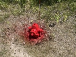 Что здесь не так, траву не застелили перед покраской?