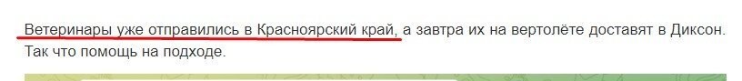 Несчастный край, до этого то у нас и ветеринаров не было. ДБ!