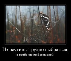 21 удивительная паутина, которая заплетет ваше сердечко нежностью
