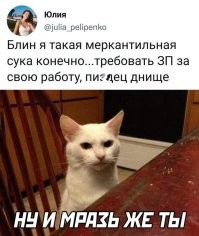 13 историй про меркантильных людей