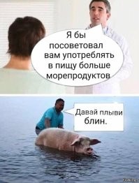 Йожика картинки. Выпуск 167