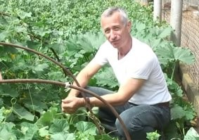 Не ищите здесь смысл. Здесь в основном маразм