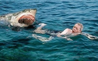 Акула откусила.... Теперь зарабатывает на жизнь, собирая раковины на мелководье.