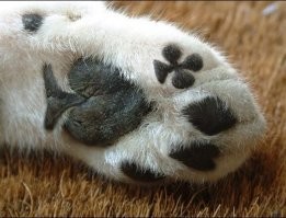 Гарри Покер