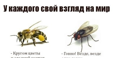 Что ажиотажно покупают - то и строят. Бешеный спрос порождает такие "скворечники". И перефразируя Конюхова - "А что в квартире сидеть"? Когда есть шашлыки в парке, прикольный бар в двух кварталах, недорогой абонент в качалку, где уже все лица знакомы. Словом - посидеть в интернете большая квартира не нужна, а устраивать светские приемы с балами - это уже несколько иной уровень доходов, на который есть несколько иные квартиры и дома. 
Ну а касаемо работы - это у кого как. У нас девушка секретарь работала, так у нее работа была "хобби". Есть другая девушка в отделе, у которой работа строго от сих до сих, и когда рабочий день истекает, может оставить любое дело недоделанным. Мол, "всем до завтра". И есть паренек в ИТ, который фанатеет от своей работы, сидит порой до 11 вечера без обеда и перекуров - и никаких игрушек на работе. Трудоголик, мать его...
Это я все к тому, что у всех совершенно РАЗНОЕ отношение к работе. И разные способы проводить свободное время.