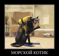 дополню коллекцию