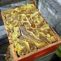 Уверяю вас. Это очень вкусно!