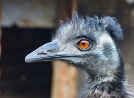 Дык я тож блогер? Правда, это не Манюэль... 
Кликабельно...