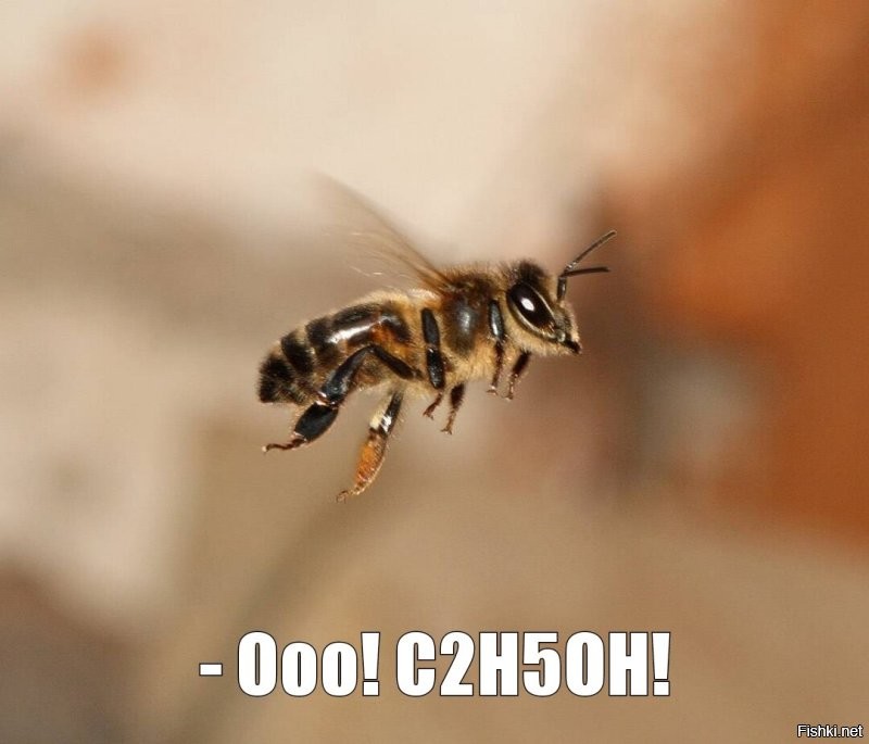 Пчёлы - химики знатные!