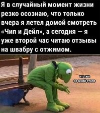 ну хз я и сейчас порой спешу домой посмотреть только уже не чип и дэйл - а the boys например и не просто так спешу домой а с 6ю литрами пива не перевес и закусками к нему