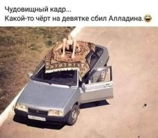 Йожика картинки. Выпуск 167