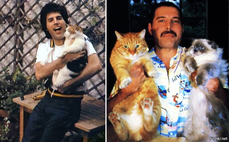 Винтажные кадры знаменитостей с кошками