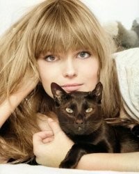 Винтажные кадры знаменитостей с кошками