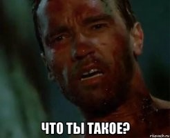 Вот это точно...