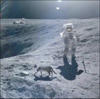 Нет, кот!