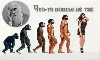 Что происходит с эволюцией человека?