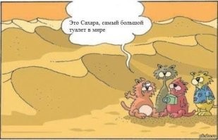 Какова толщина слоя песка в пустынях?