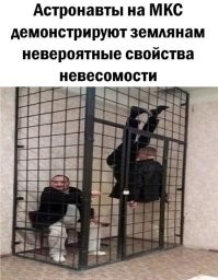 Правильно пишется не астронавты, а алконавты!