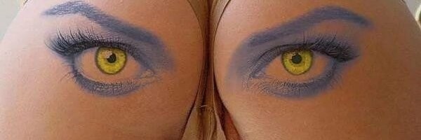 Йожика картинки. Выпуск 168