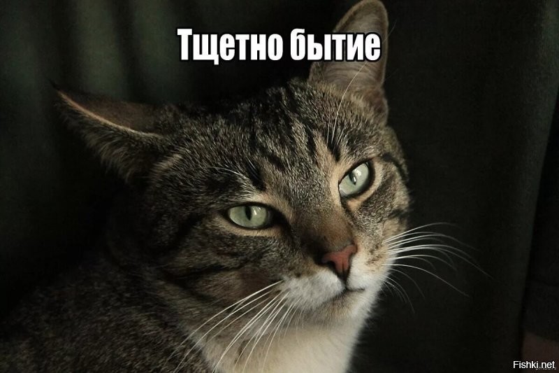 Это Тихон размышляет о бренности бытия