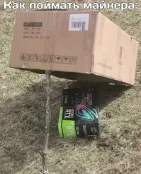 Фотоприколы о криптовалюте