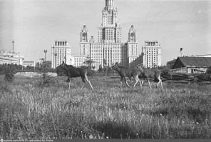 Слияние города и деревни в действии. Юго-Запад Москвы 40-50 лет тому назад