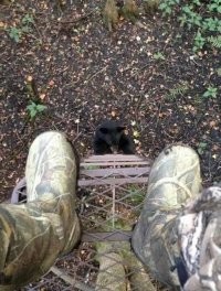 А этому-то что? Не с пустыми же руками сидит в засидке.