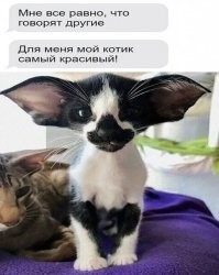 Так он действительно хорош!