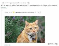 Не ищите здесь смысл. Здесь в основном маразм