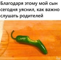 Скрины из соцсетей