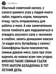 Смешные и познавательные картинки