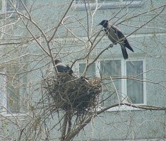 Ага. Не строят. Совсем.