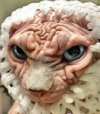 Смешные комментарии из&nbsp;социальных сетей-83