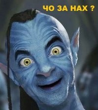 Подушка в аренду, теперь вы видели все