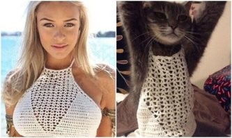 Когда вызвал кошечку, а приехала не та, что на фотографии?