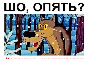 Смешные комментарии из&nbsp;социальных сетей-84