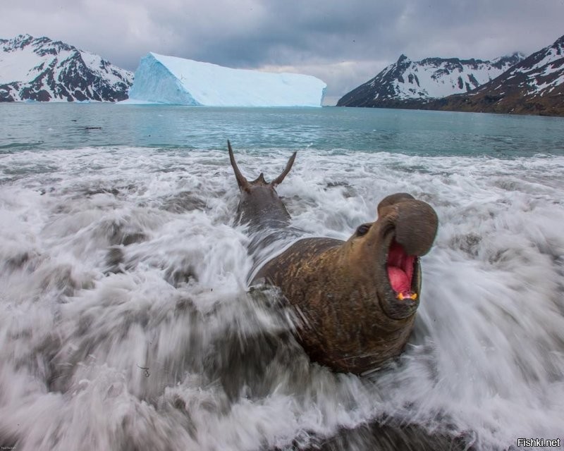 Кто скучает по морю