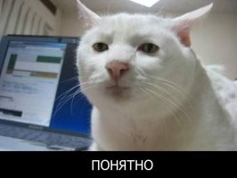 Вот это голливуд: новый мост в Лос-Анджелесе закрыт на неопределенное время
