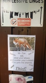 в Англии во всех кемпингах и парках висят объявы: