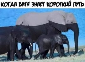 Всё вразнобой