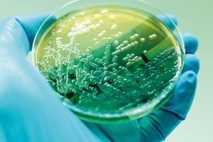 Йожика картинки. Выпуск 171