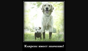 Всё вразнобой