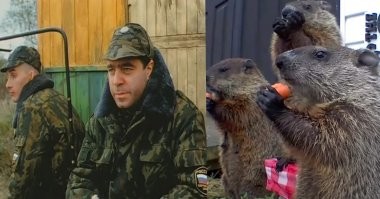 Воришка, пойманный на камеру, стал звездой: история сурка Пухляка