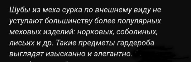 Воришка, пойманный на камеру, стал звездой: история сурка Пухляка