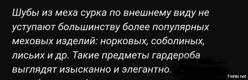 Воришка, пойманный на камеру, стал звездой: история сурка Пухляка