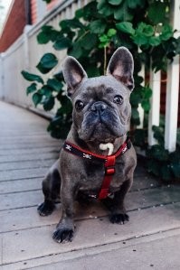 вот, он, мой тугодум, Пых Пыхыч...